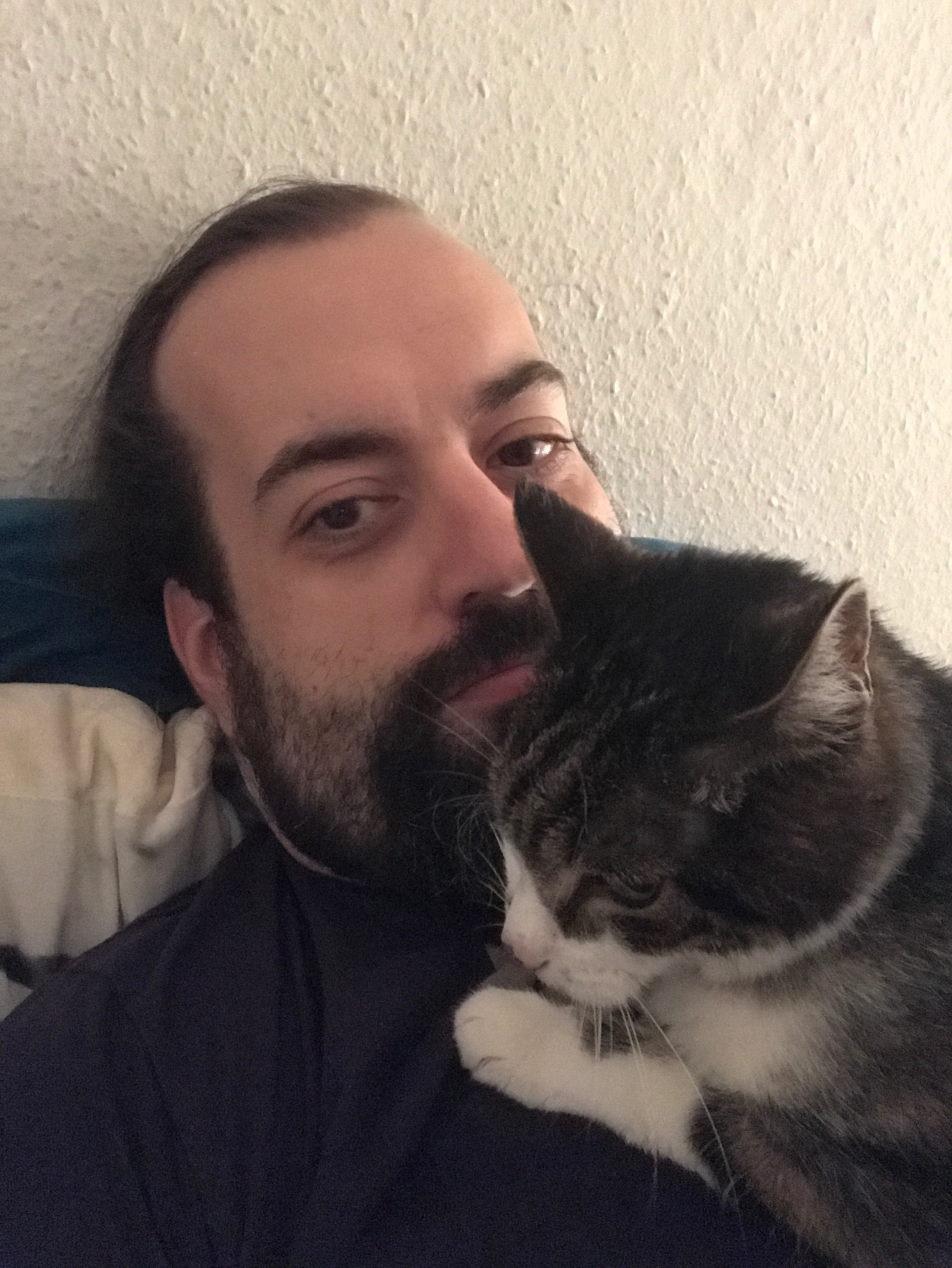 Schroedinger sitting on my chest